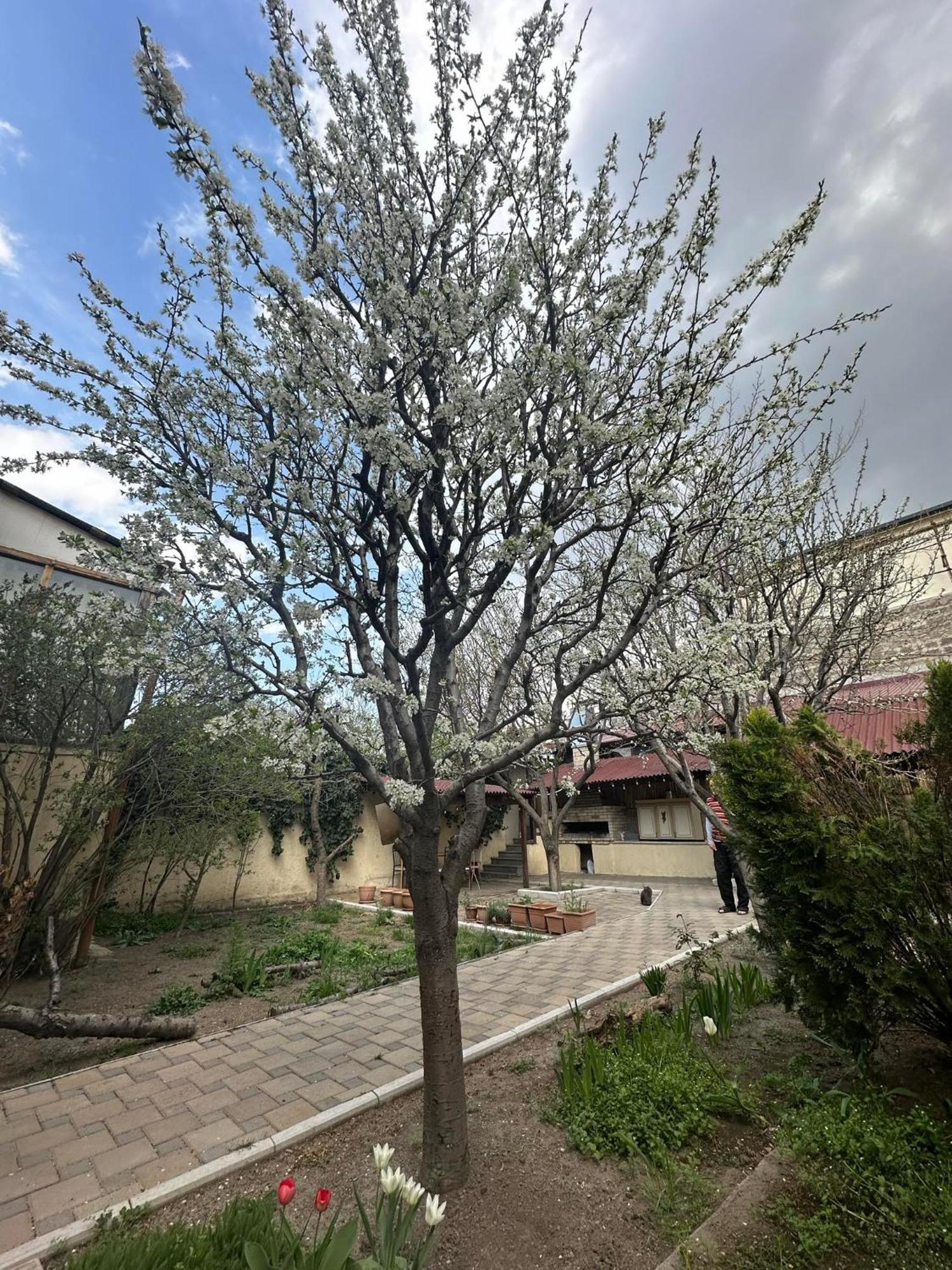 Popock City Center Erevan Exterior foto